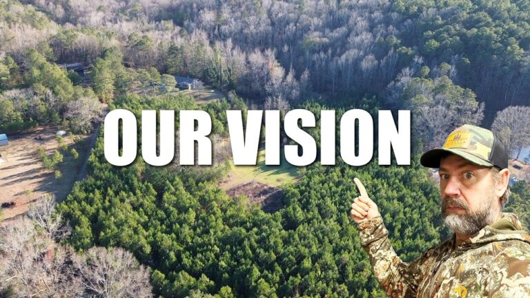 Our Vision for Turning 26 Acres in Georgia Into a Family Retreat